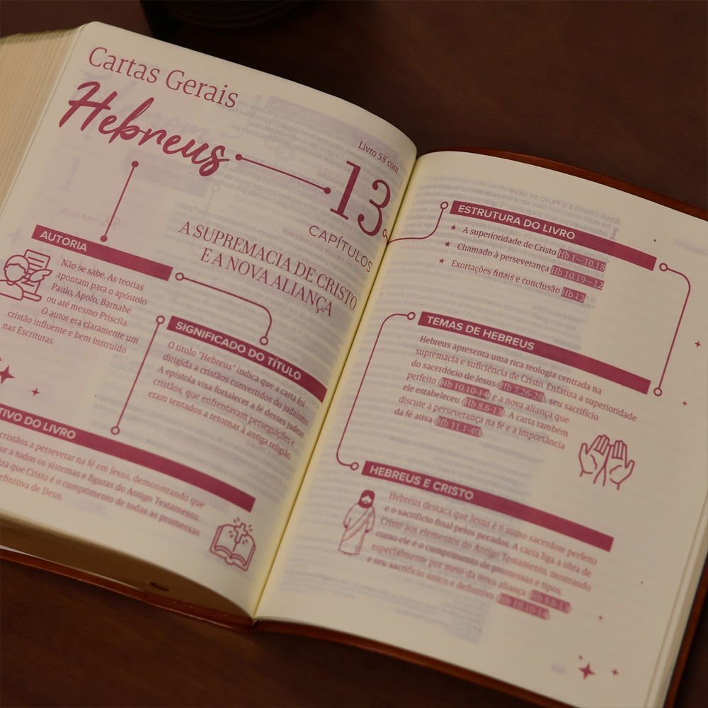 Biblia Mulheres  NVT  Viviane Martinello  Videira Vinho