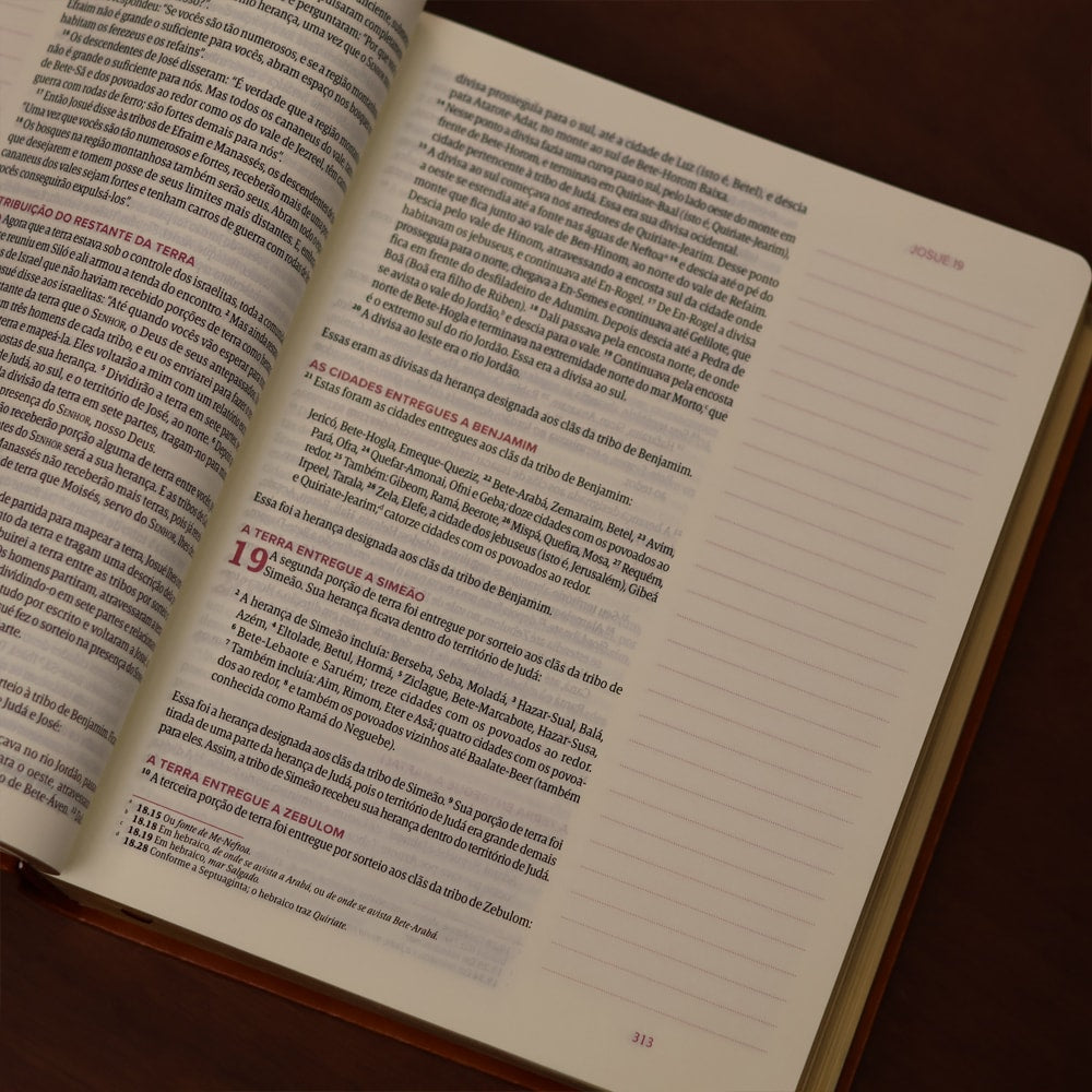 Biblia Mulheres  NVT  Viviane Martinello  Videira Vinho