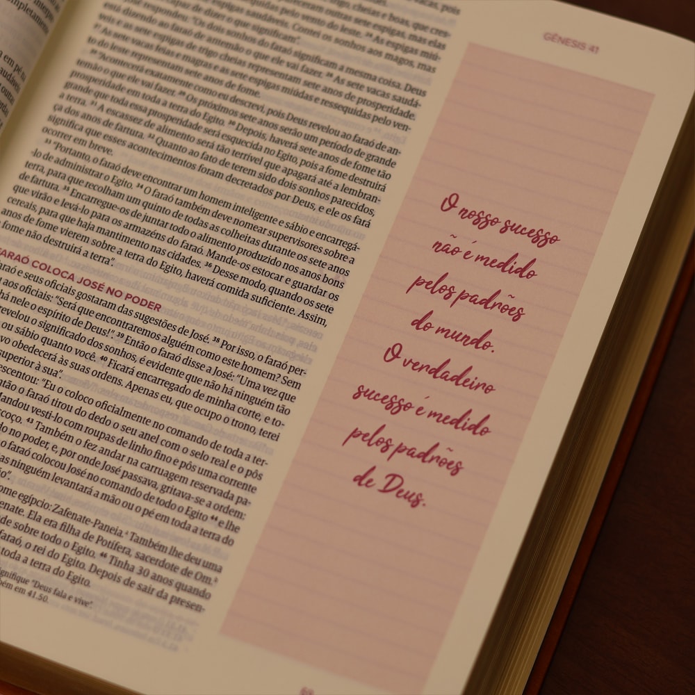 Biblia Mulheres  NVT  Viviane Martinello  Videira Vinho