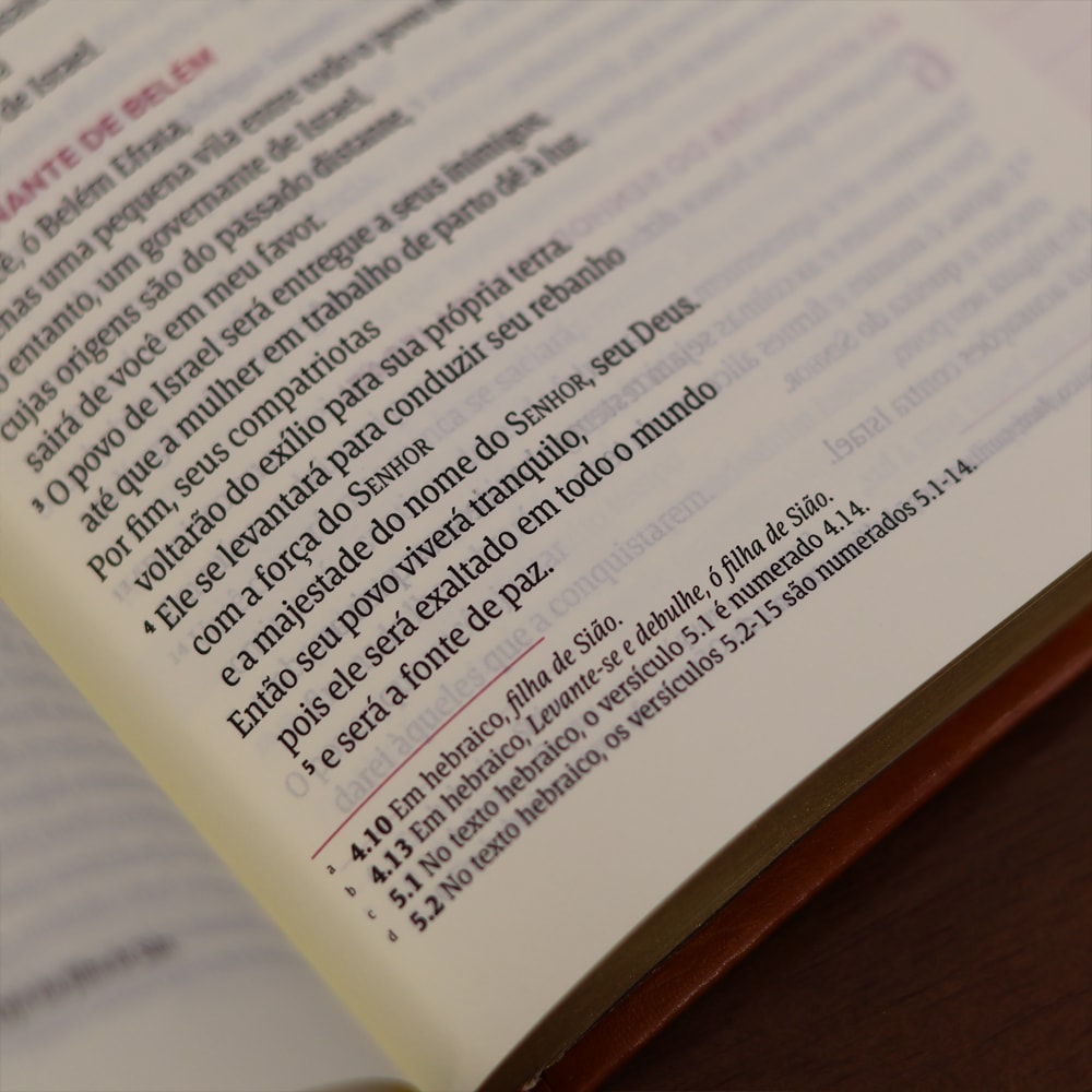 Biblia Mulheres  NVT  Viviane Martinello  Videira Vinho