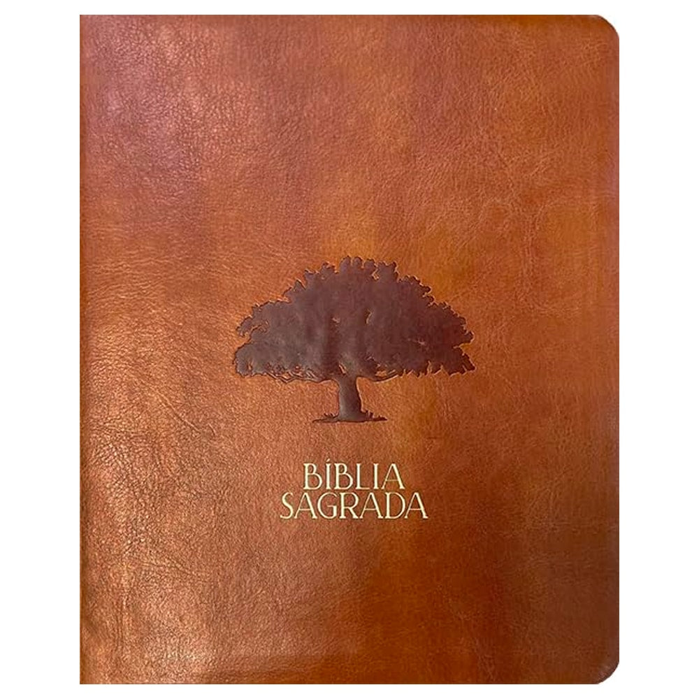 Biblia Mulheres  NVT  Viviane Martinello  Figueira