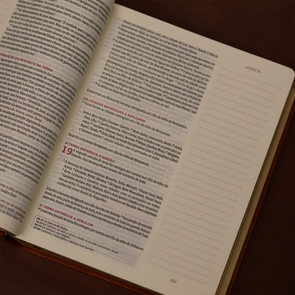 Biblia Mulheres  NVT  Viviane Martinello  Figueira