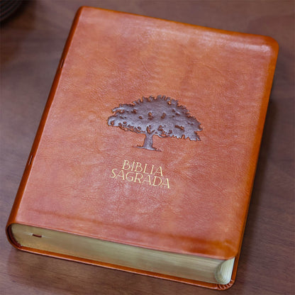 Biblia Mulheres  NVT  Viviane Martinello  Figueira