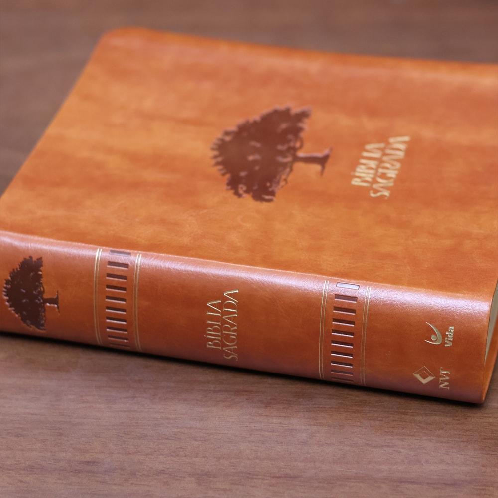 Biblia Mulheres  NVT  Viviane Martinello  Figueira