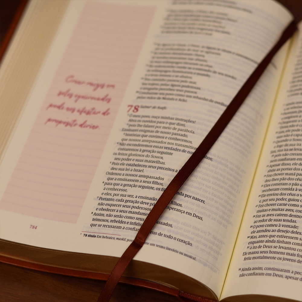 Biblia Mulheres  NVT  Viviane Martinello  Figueira