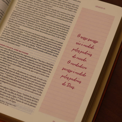 Biblia Mulheres  NVT  Viviane Martinello  Figueira