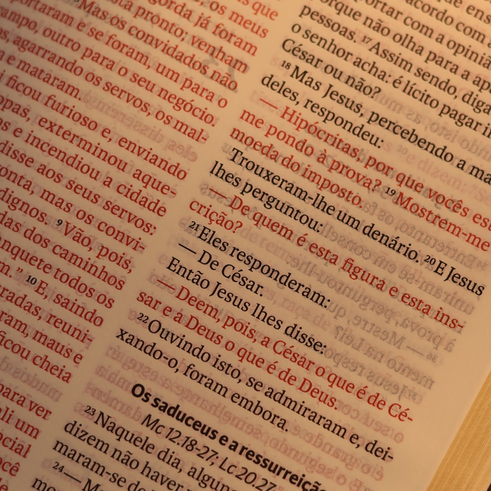 Bíblia NAA - Letra Gigante - Marrom