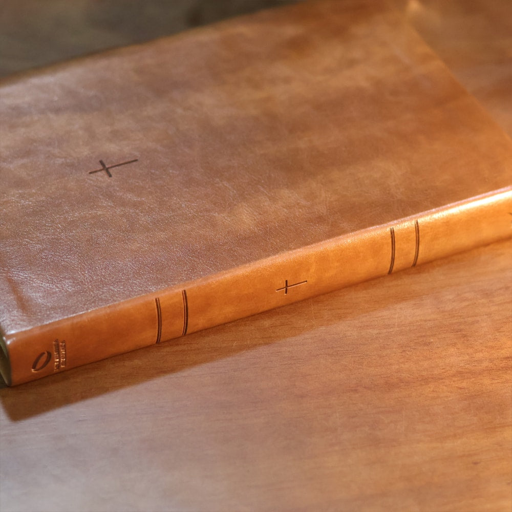 Biblia Sagrada  NAA  Letra Grande  Marrom
