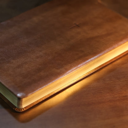 Biblia Sagrada  NAA  Letra Grande  Marrom