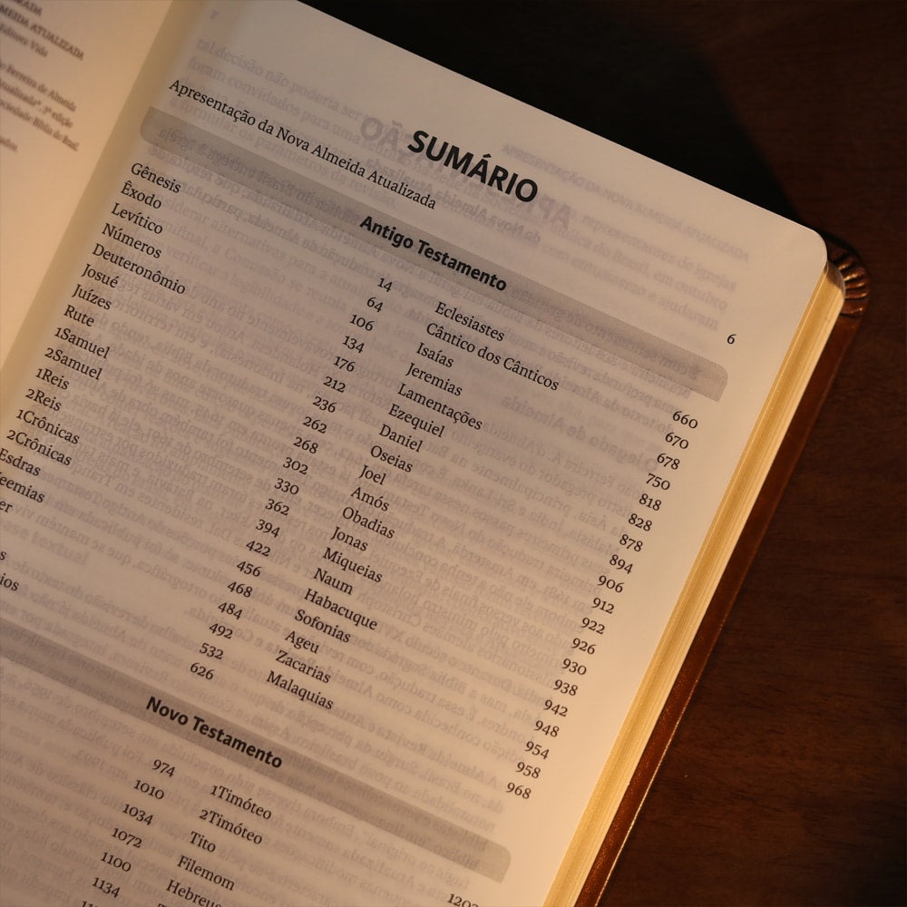 Biblia Sagrada  NAA  Letra Grande  Marrom