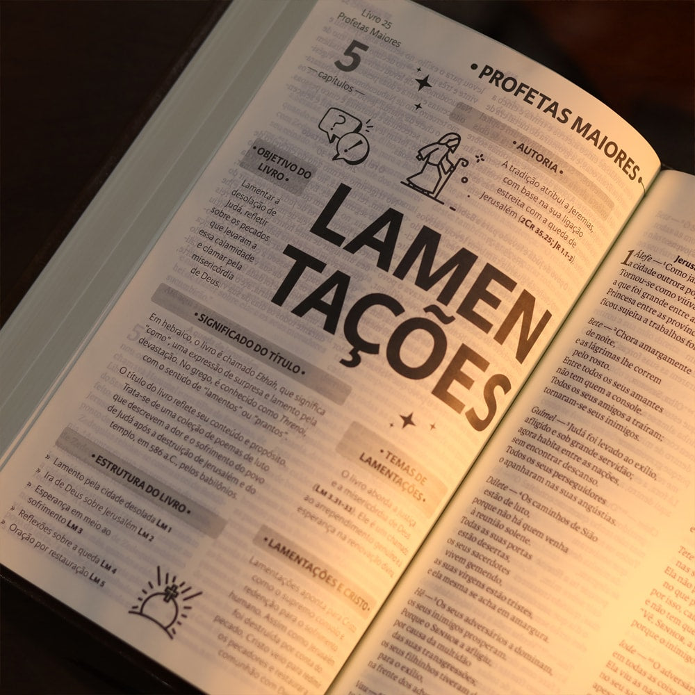 Biblia Sagrada  NAA  Letra Grande  Marrom