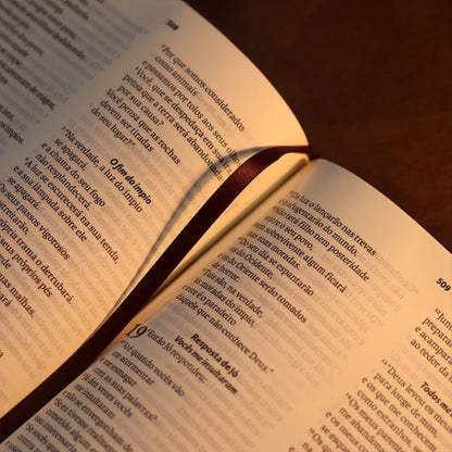 Biblia Sagrada  NAA  Letra Grande  Marrom
