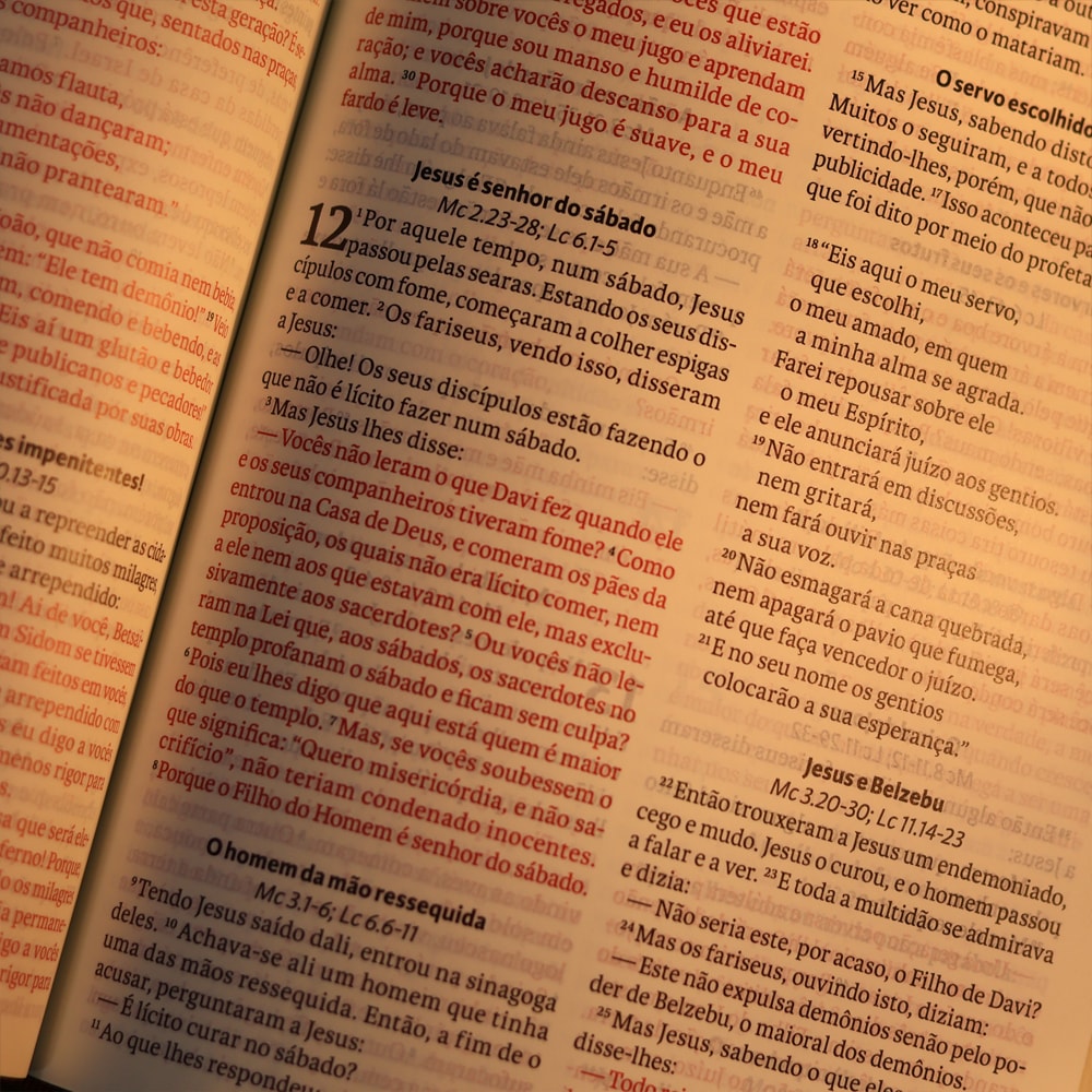 Biblia Sagrada  NAA  Letra Grande  Marrom