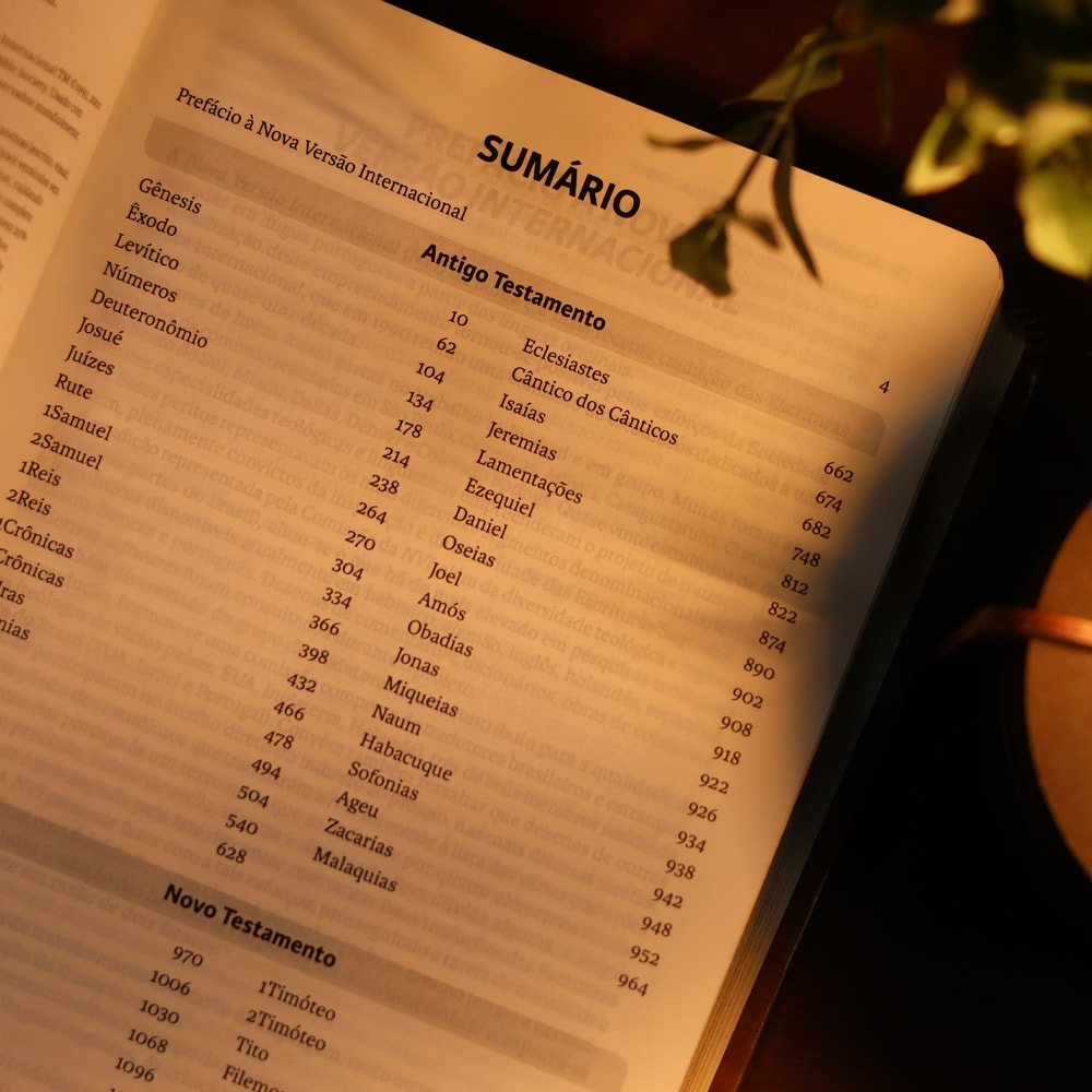 Biblia Sagrada  NVI  Letra Grande  Marrom