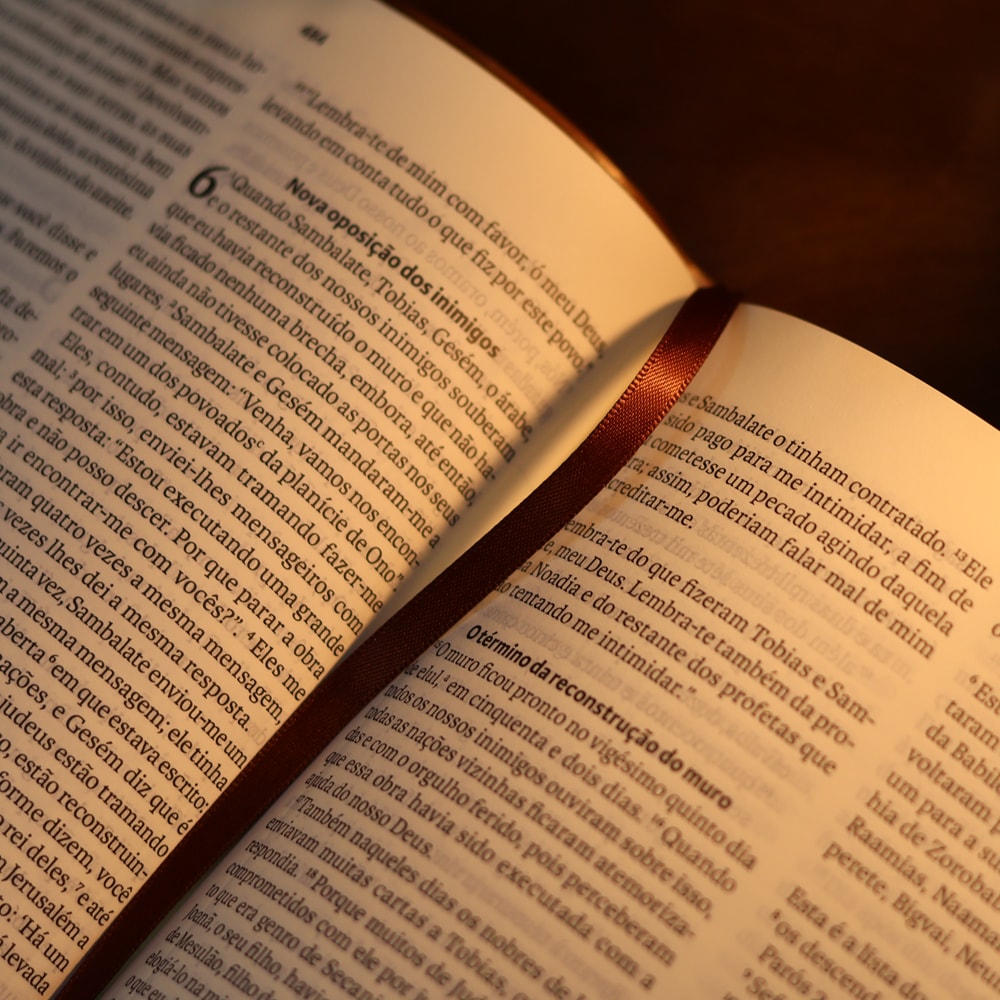 Biblia Sagrada  NVI  Letra Grande  Marrom