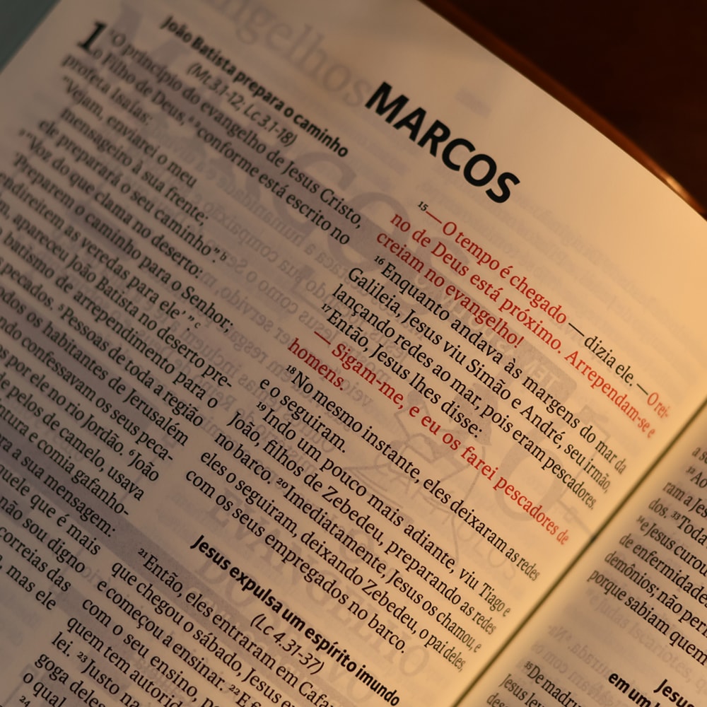 Biblia Sagrada  NVI  Letra Grande  Marrom