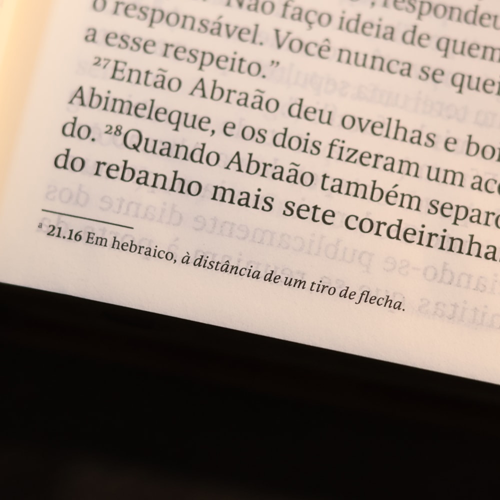 Biblia Sagrada  NVT  Letra Gigante  Marrom