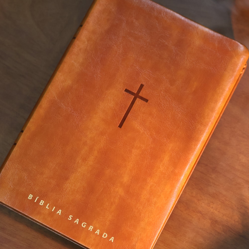 Biblia Sagrada  NVT  Letra Gigante  Marrom