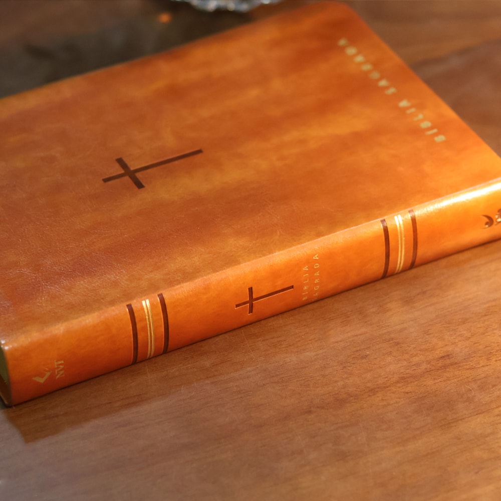 Biblia Sagrada  NVT  Letra Gigante  Marrom