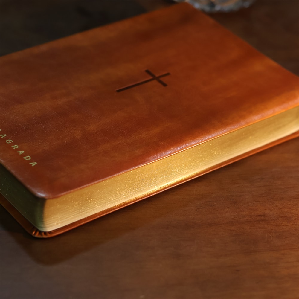 Biblia Sagrada  NVT  Letra Gigante  Marrom