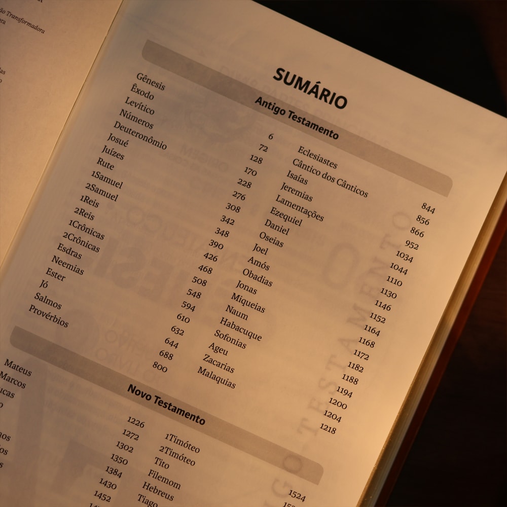 Biblia Sagrada  NVT  Letra Gigante  Marrom