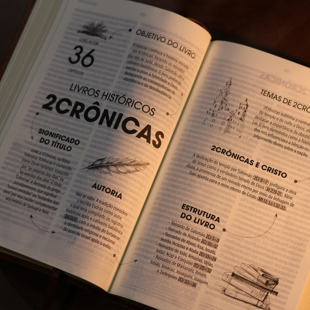 Biblia Sagrada  NVT  Letra Gigante  Marrom
