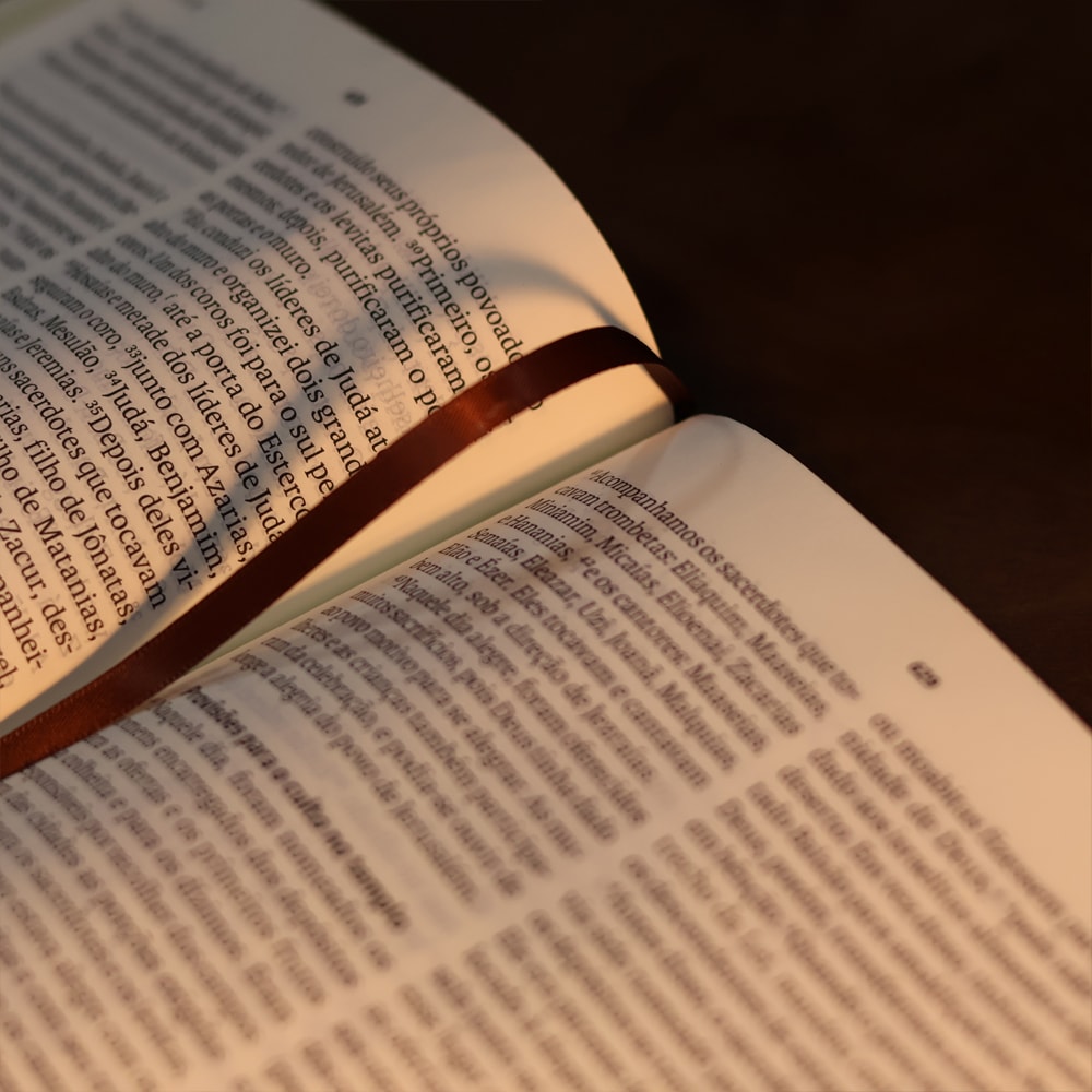 Biblia Sagrada  NVT  Letra Gigante  Marrom