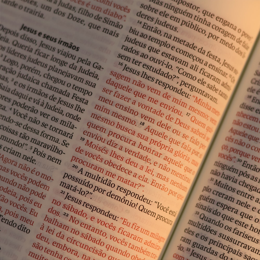 Biblia Sagrada  NVT  Letra Gigante  Marrom