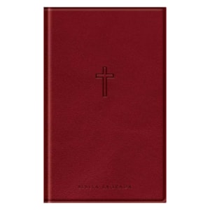 Biblia Sagrada Slim  NAA  Vinho