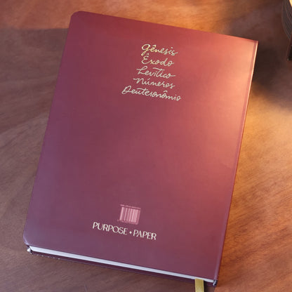 Bible Journal | Pentateuco