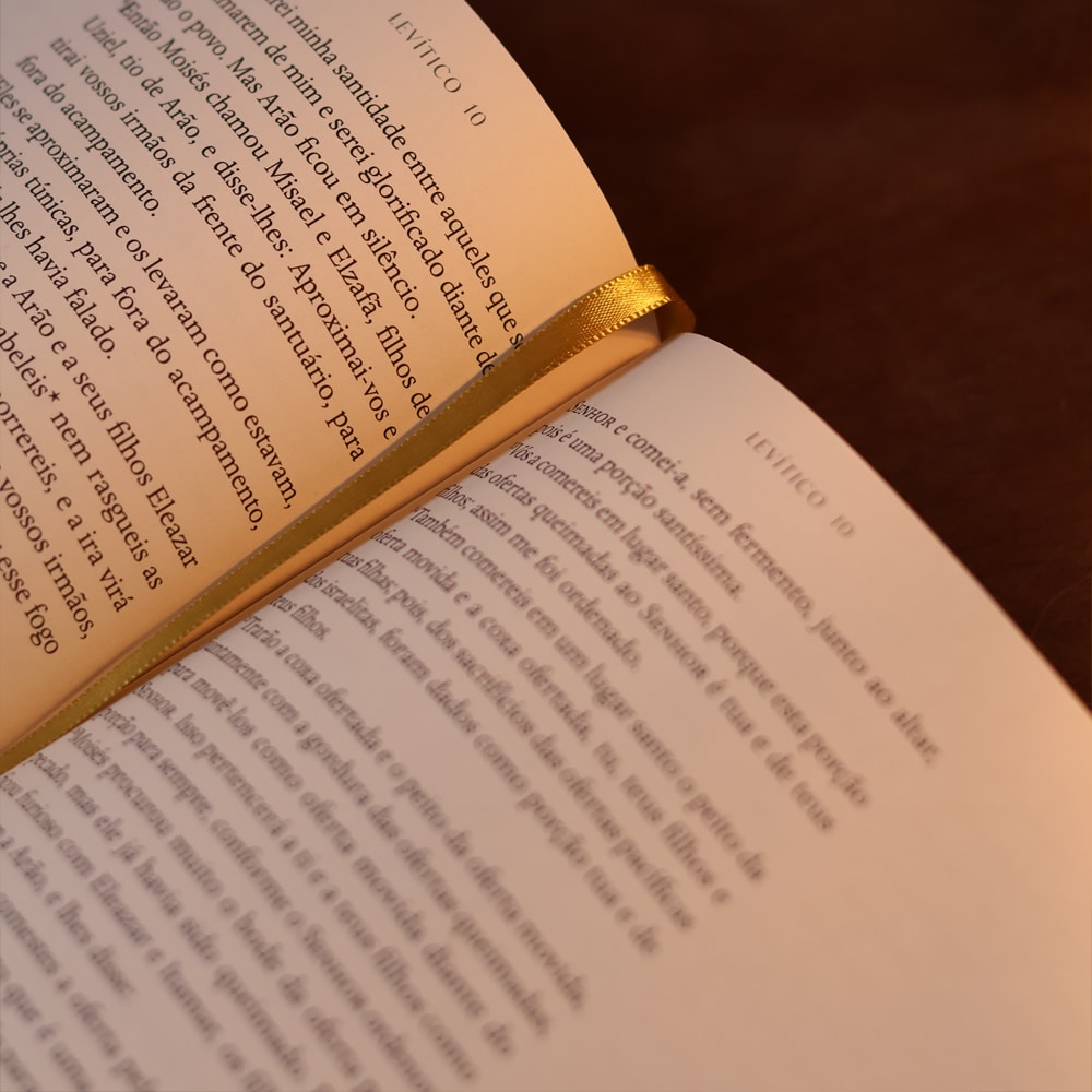 Bible Journal | Pentateuco