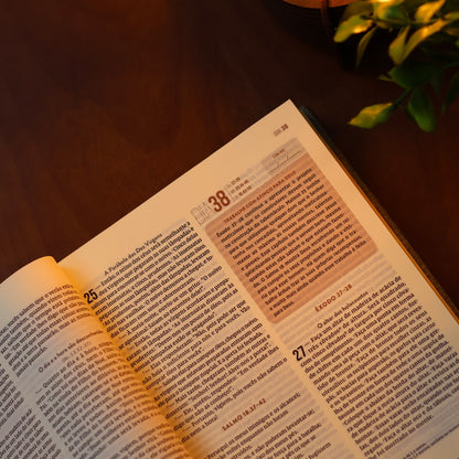 Bíblia Diária Cinza | NVI | Leitura Perfeita | Capa Dura C/ Tecido