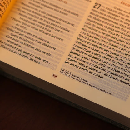 Bíblia Diária Cinza | NVI | Leitura Perfeita | Capa Dura C/ Tecido