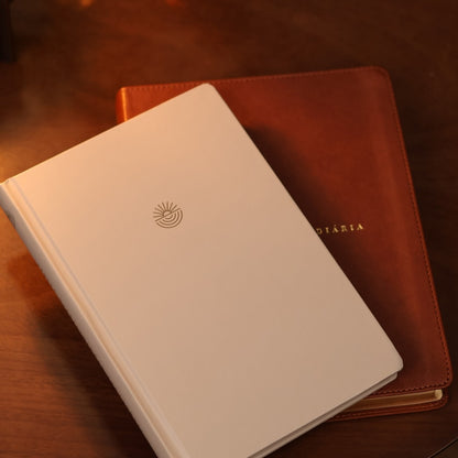 Bíblia Diária Marrom | NVI | Leitura Perfeita | Couro Soft