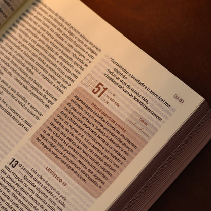 Bíblia Diária Marrom | NVI | Leitura Perfeita | Couro Soft