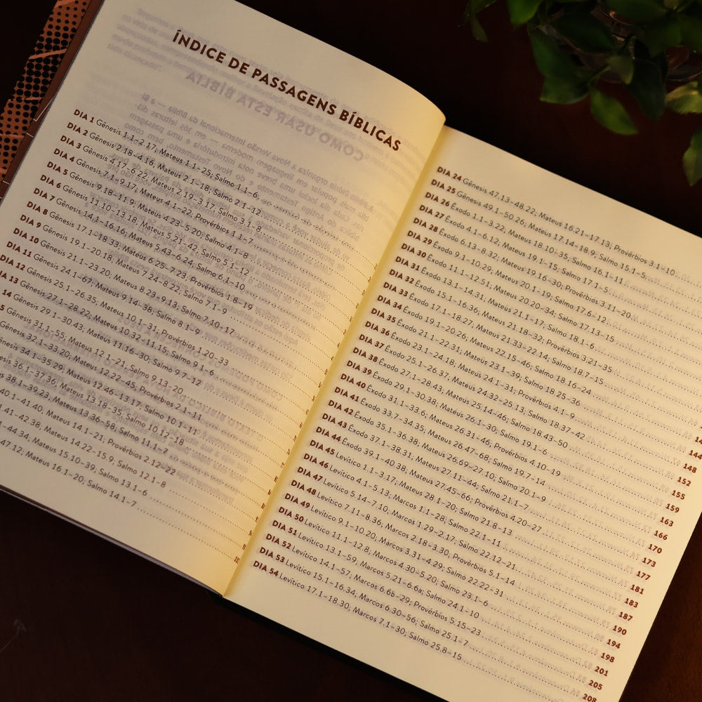 Bíblia Diária Montanha | NVI | Leitura Perfeita | Capa Brochura