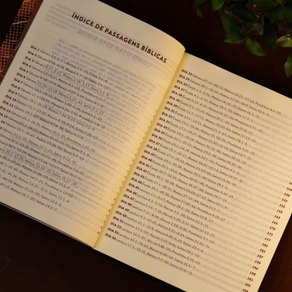 Bíblia Diária Montanha | NVI | Leitura Perfeita | Capa Brochura