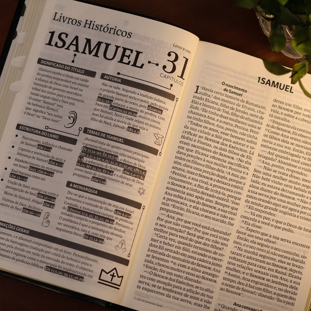 Bíblia Sagrada | NVI | Letra Gigante | Preta Com Índice