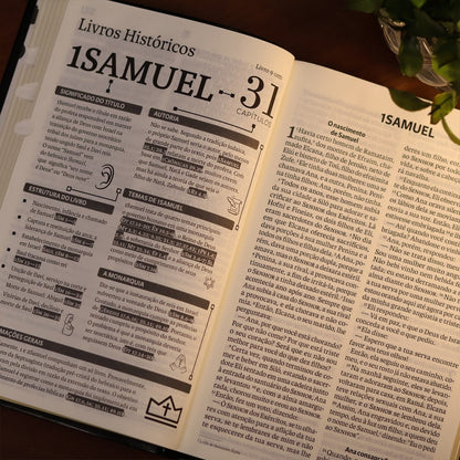 Bíblia Sagrada | NVI | Letra Gigante | Preta Com Índice