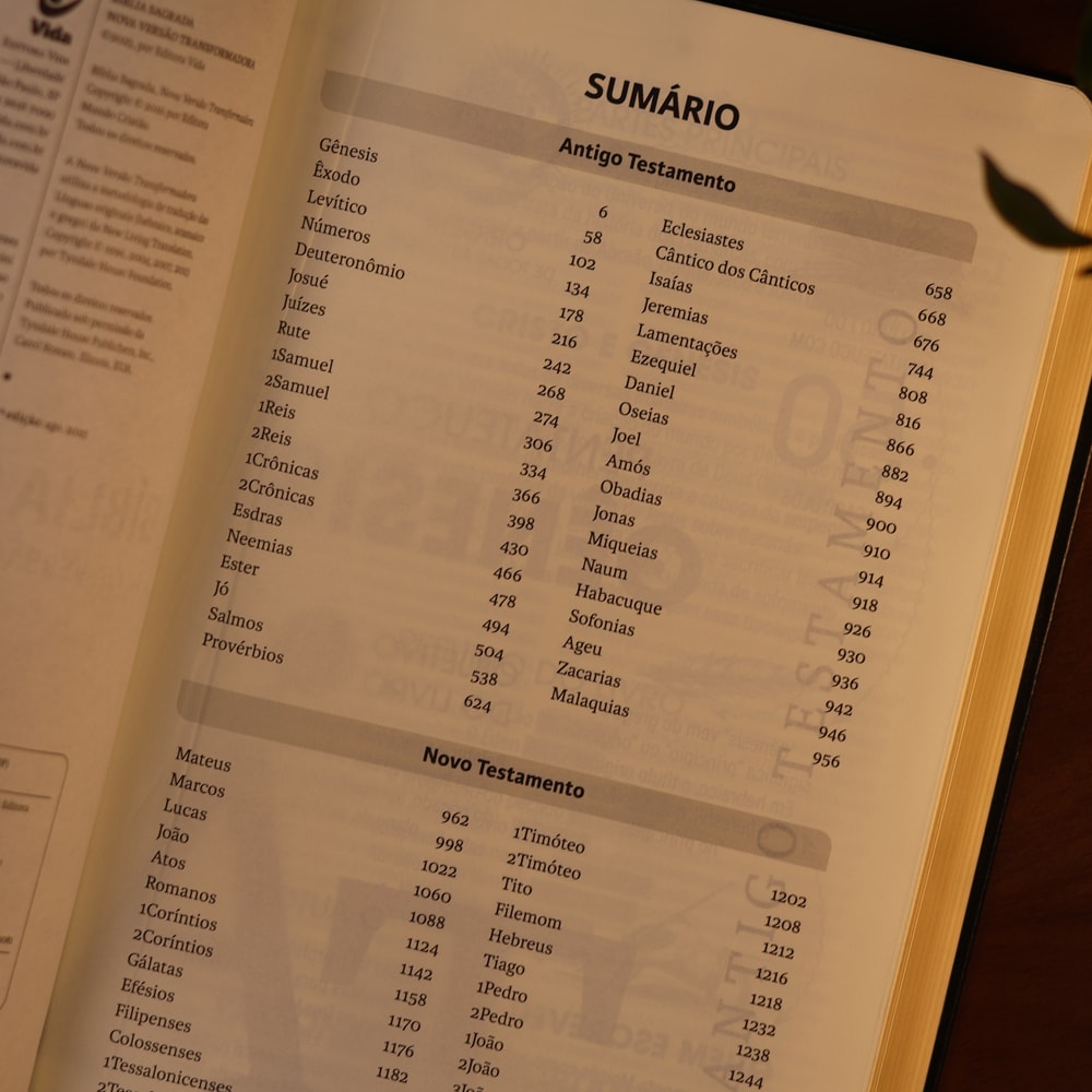 Bíblia Sagrada | NVT | Letra Grande | Preta