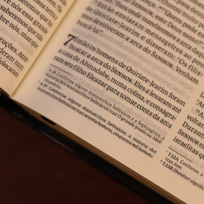 Bíblia Sagrada | NVT | Letra Grande | Preta