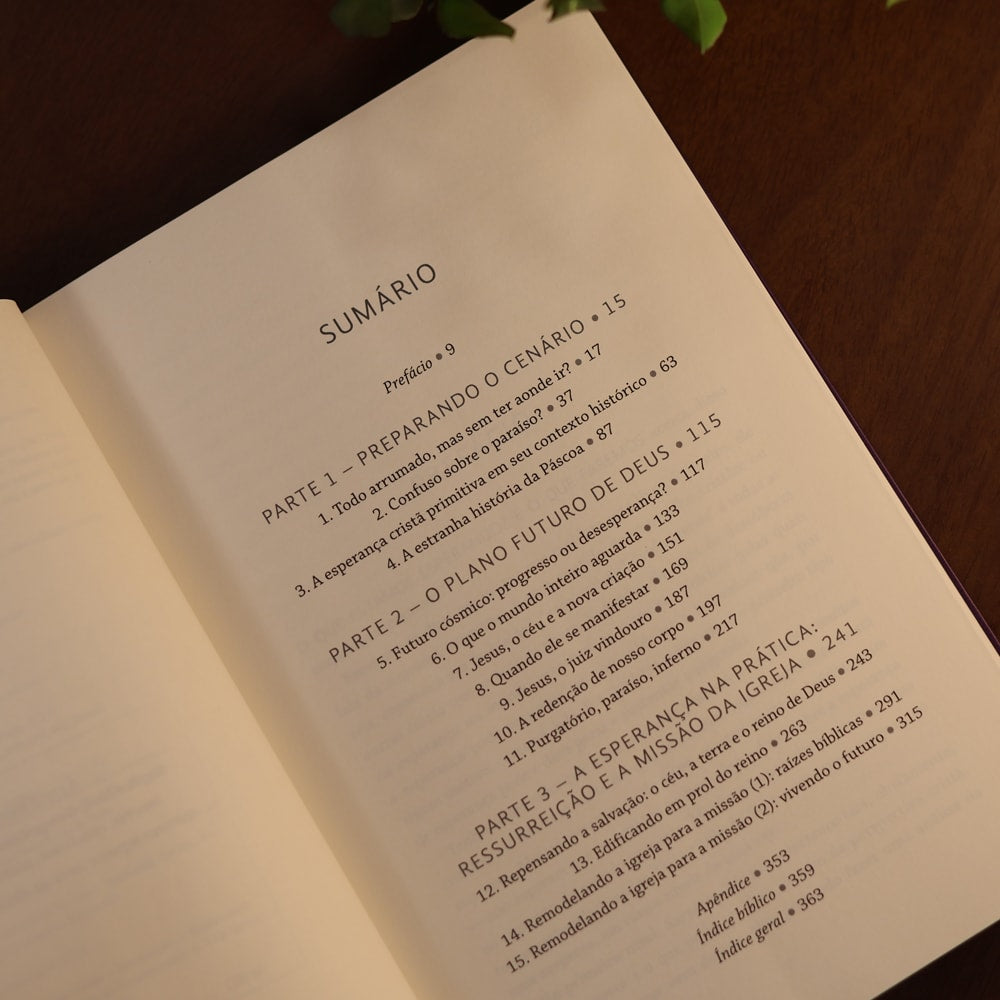 Surpreendido Pela Esperança | N.T. Wright