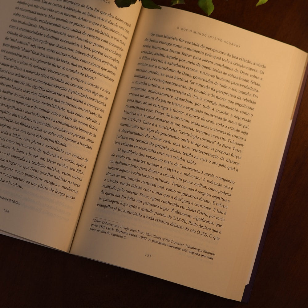 Surpreendido Pela Esperança | N.T. Wright