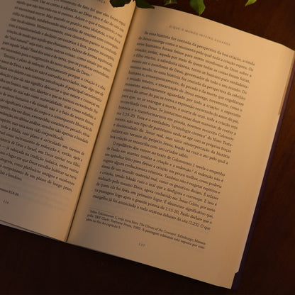 Surpreendido Pela Esperança | N.T. Wright