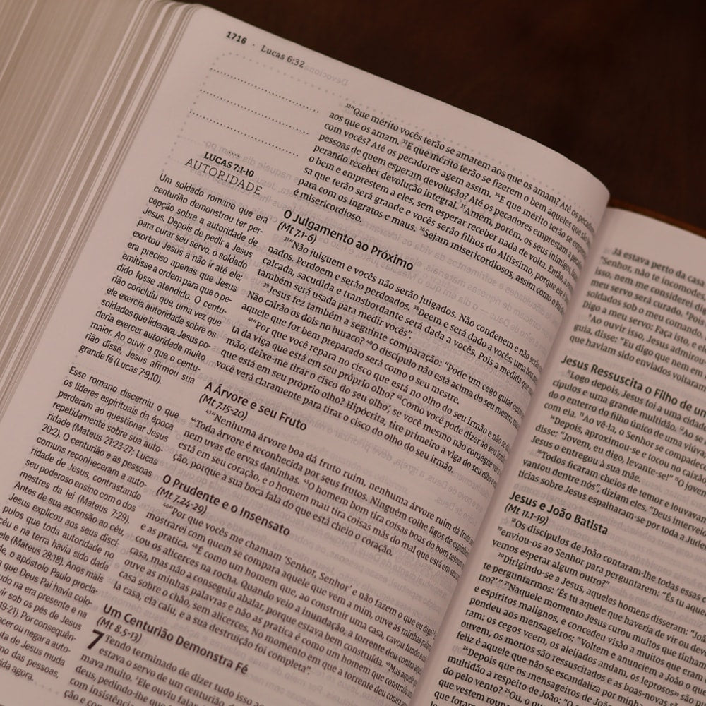 Jesus Bible | NVI | Espaço Para Anotações | Leitura Perfeita | Couro-Soft Marrom