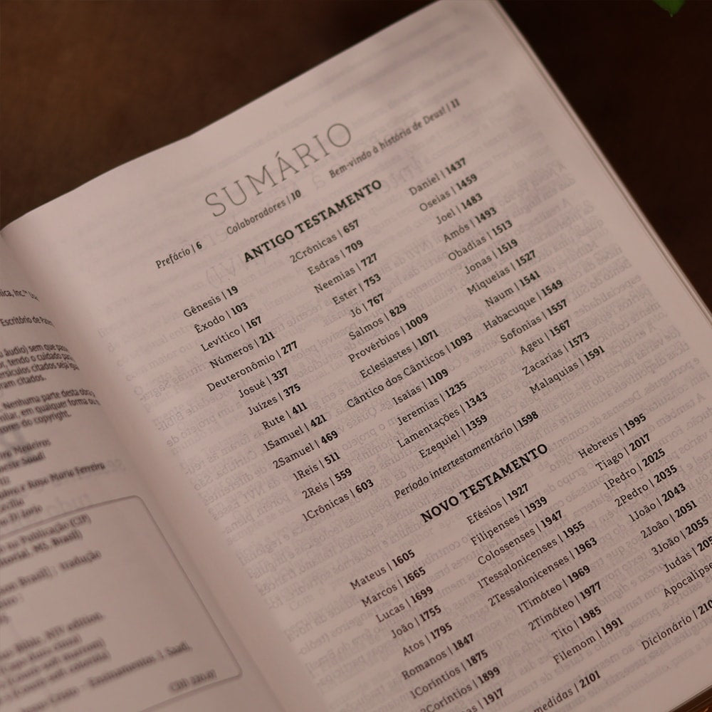 Jesus Bible | NVI | Espaço Para Anotações | Leitura Perfeita | Couro-Soft Multicor