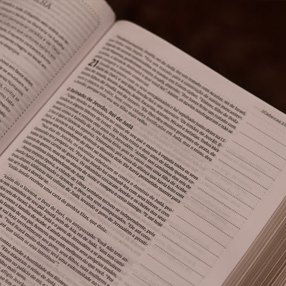 Jesus Bible | NVI | Espaço Para Anotações | Leitura Perfeita | Couro-Soft Multicor