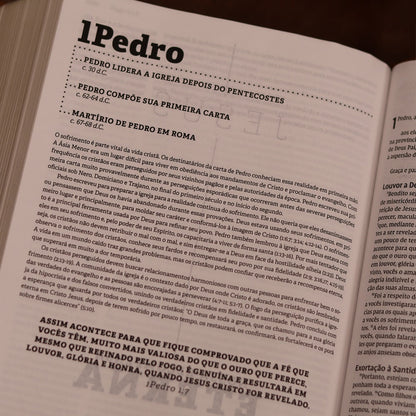 Jesus Bible | NVI | Espaço Para Anotações | Leitura Perfeita | Couro-Soft Multicor