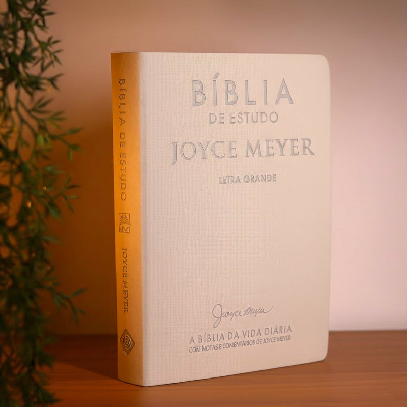 Bíblia De Estudo Joyce Meyer | NVI | Letra Grande | Capa Cinza