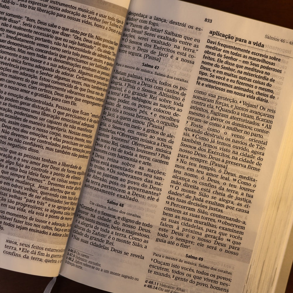 Bíblia De Estudo Joyce Meyer | NVI | Letra Grande | Capa Cinza